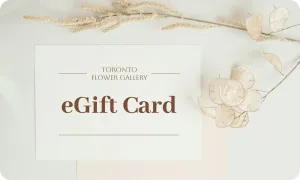 eGift Card Basic