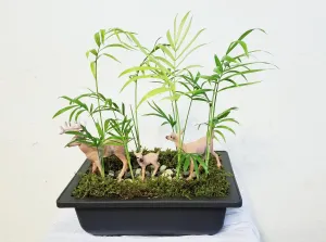 Mini Bamboo Garden